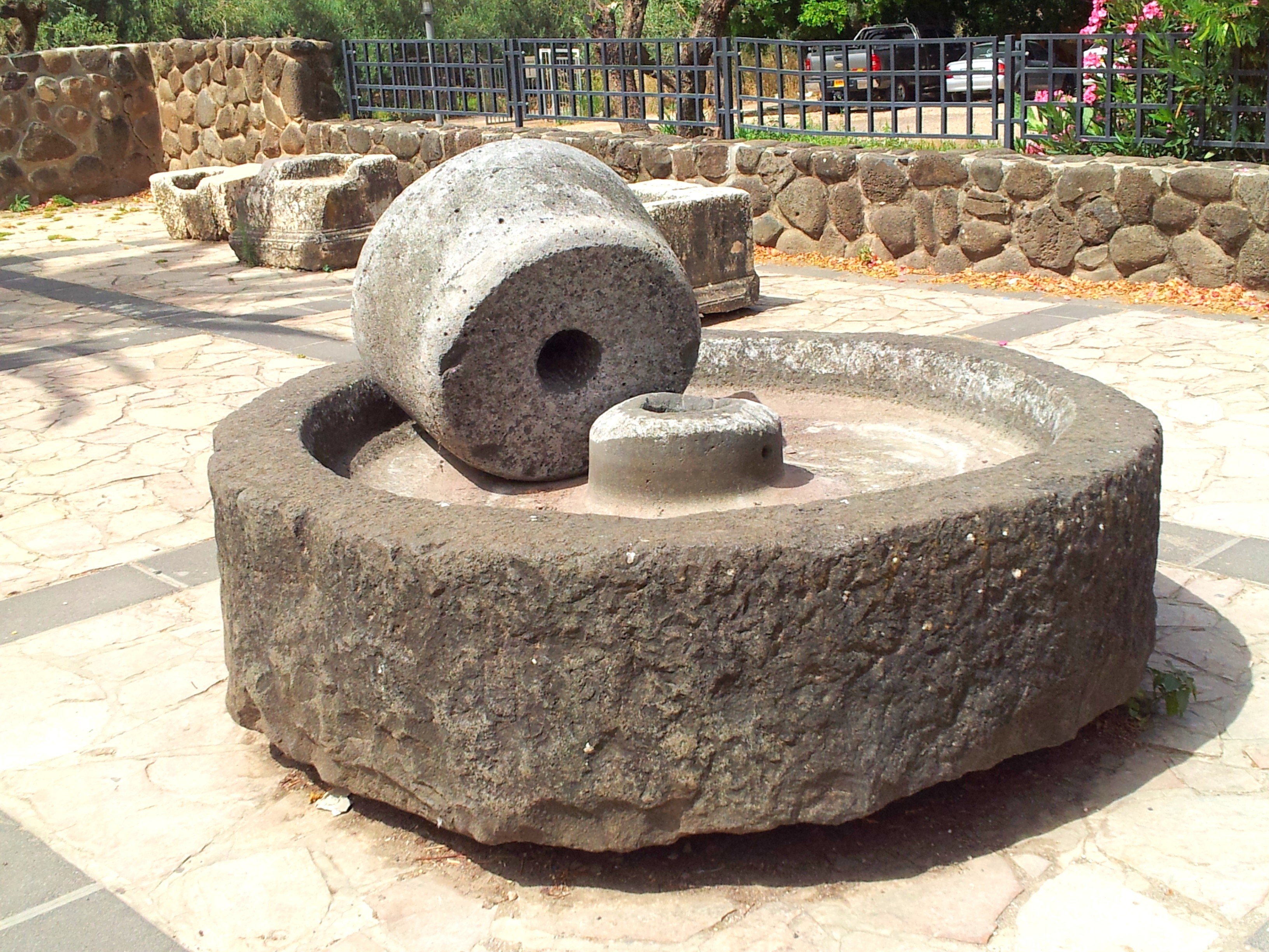 Ancient Olive Press Jesus Walked Here Tours