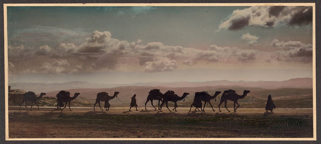 Camel Caravan on Mount of Olives, Jerusalem, Israel - Jesus Walked Here ...